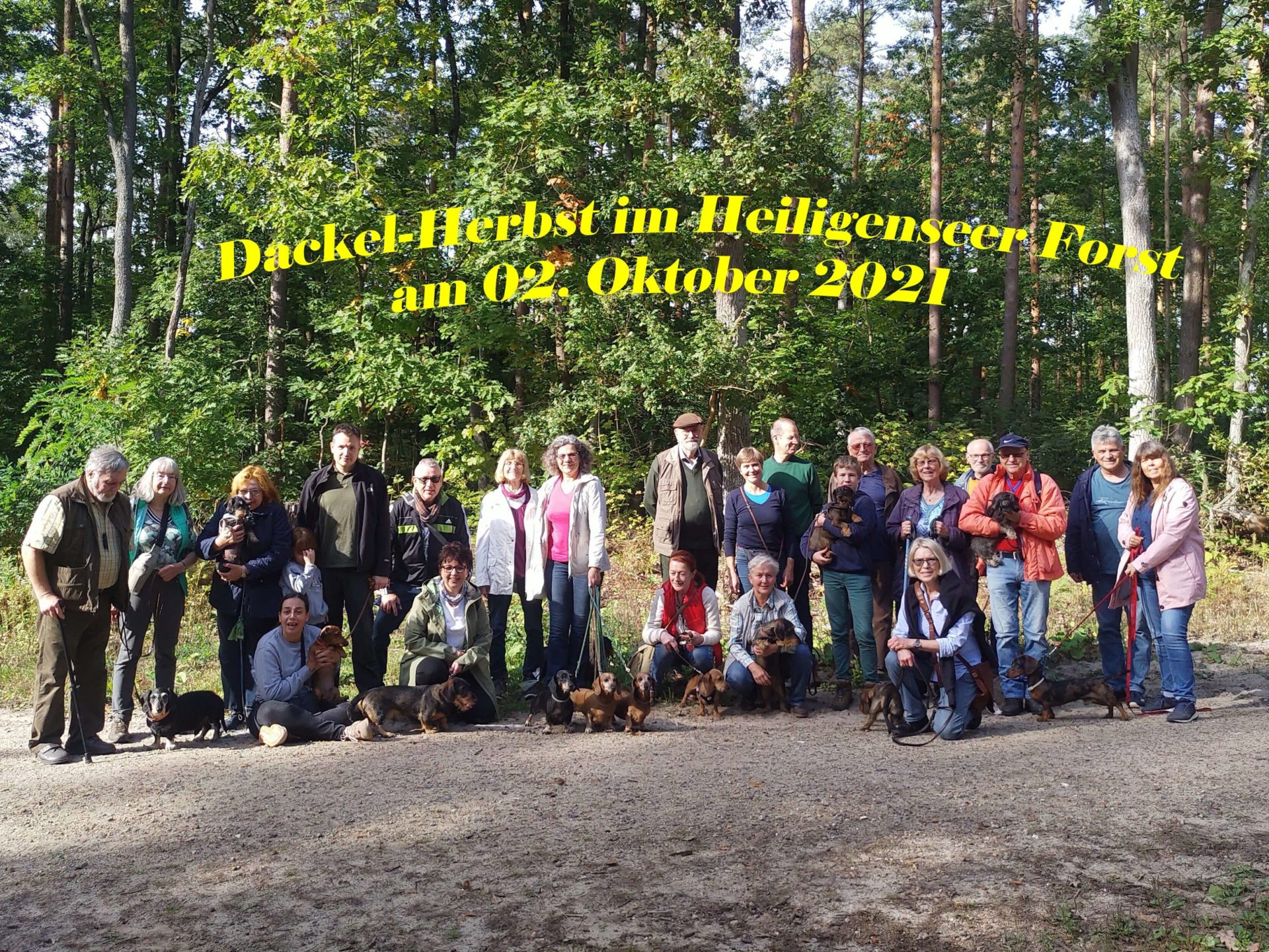 Dackel-Herbst im Heiligenseer Forst - 2. Oktober 2021