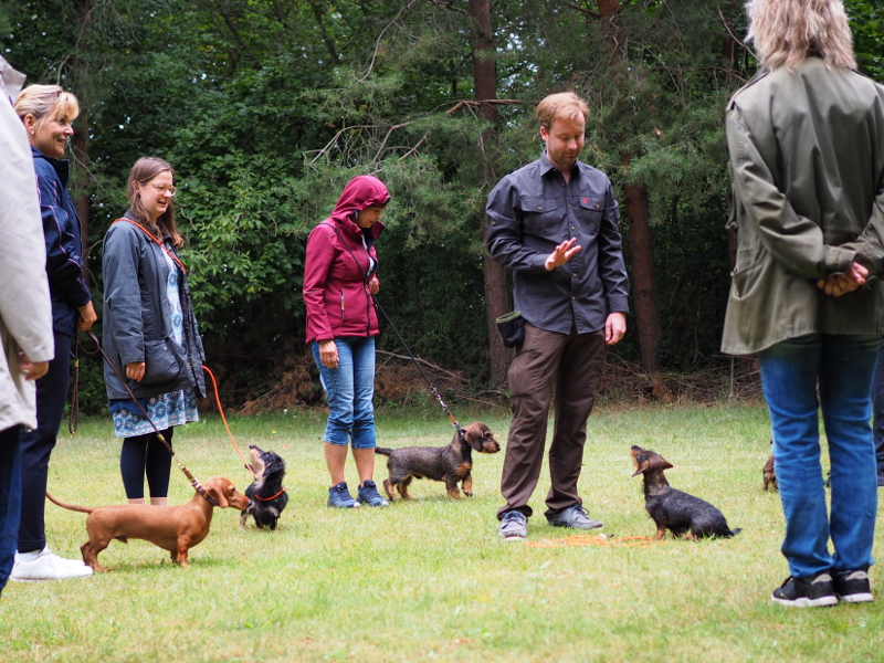 Welpenspielstunde - Teckelgruppe Raben - Juli 2020