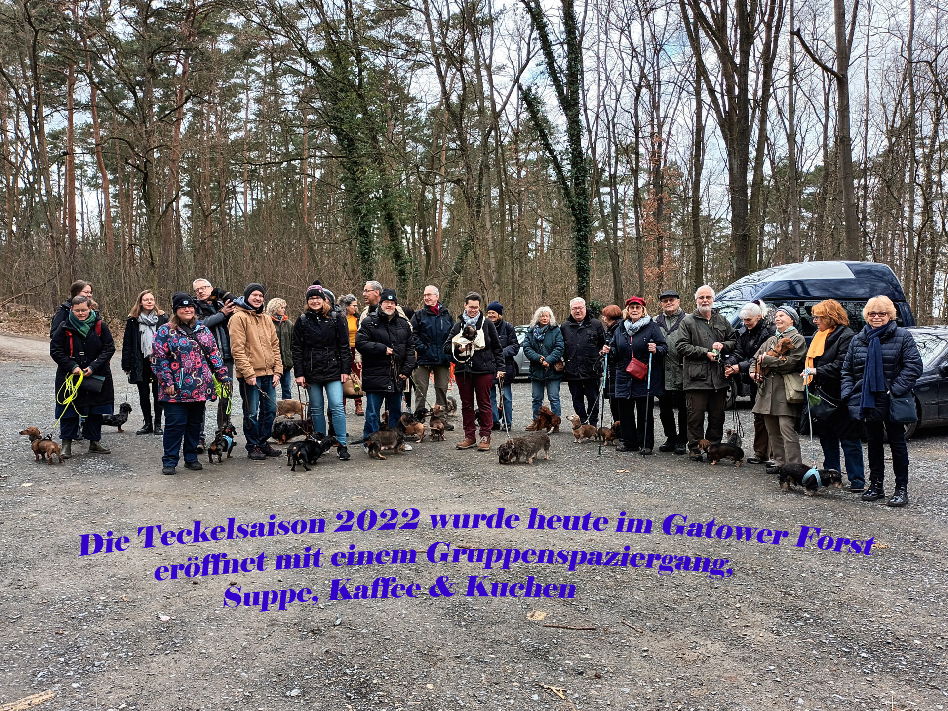 Teckelgruppe Raben - Spaziergang im Gatower Forst am 26. Februar 2022