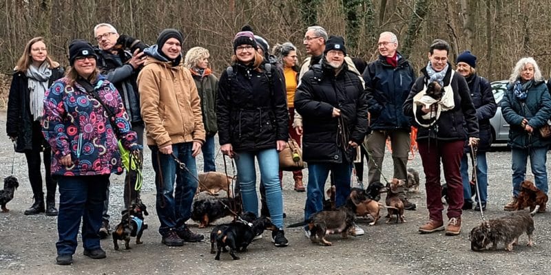 Teckelgruppe Raben - Spaziergang im Gatower Forst am 26. Februar 2022