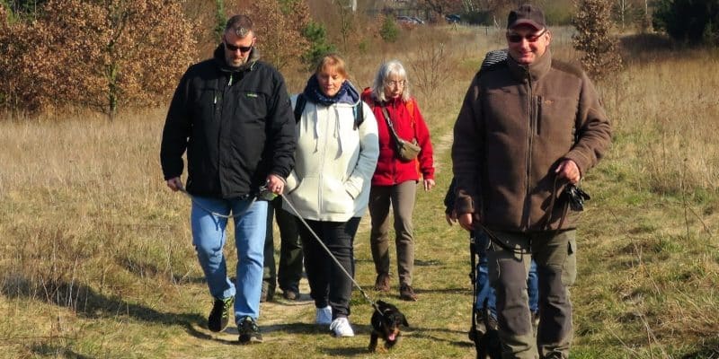 Teckelgruppe Raben - Spaziergang Kikebusch See am 19. März 2022