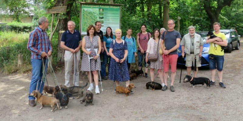 Die Teckel der Gruppe Raben unterwegs im Wildpark Potsdam