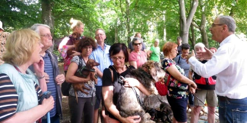 Sommerausflug der Teckelgruppe Raben im Großen Tiergarten