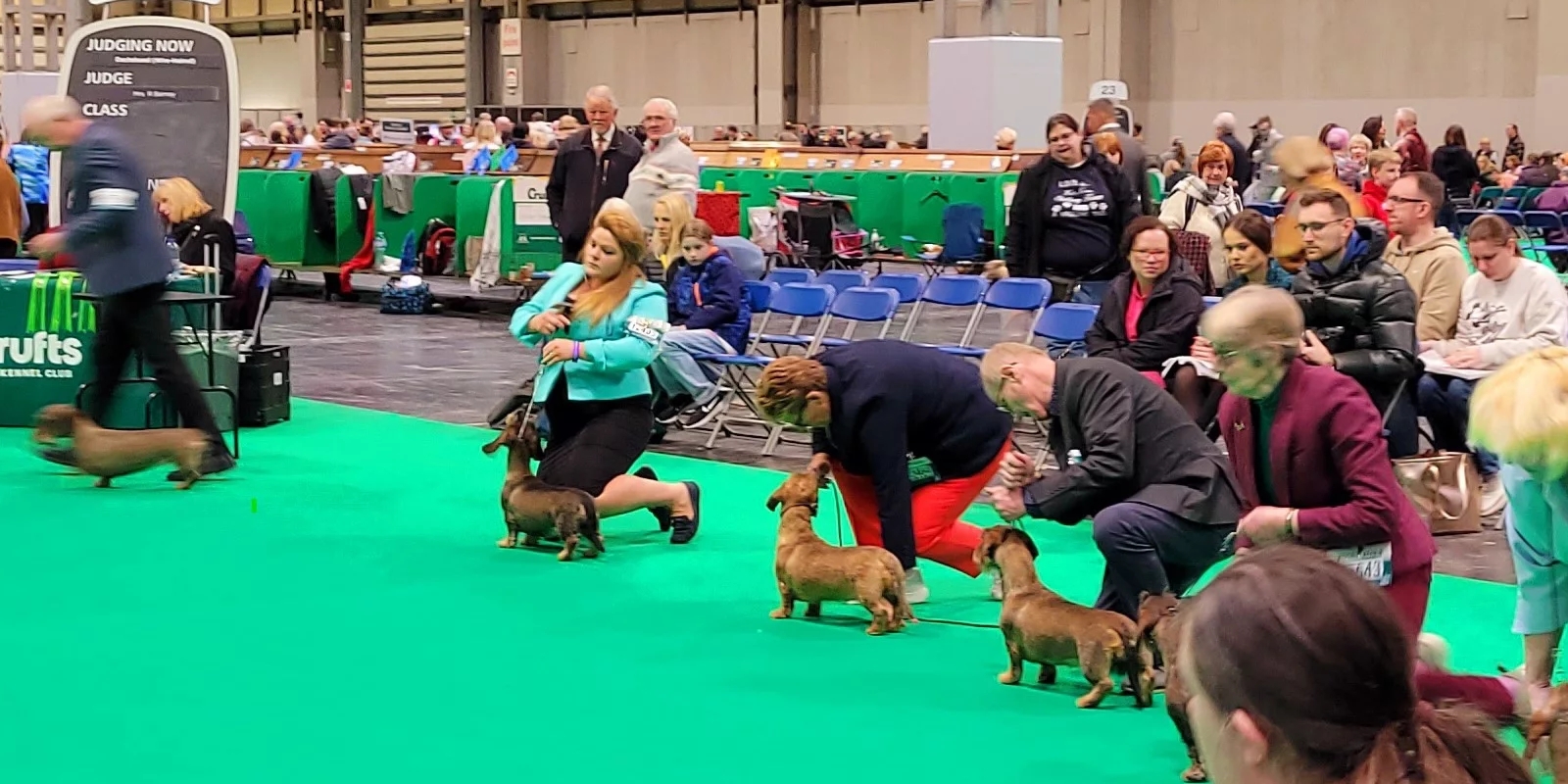 Crufts 2023 - The Kennel Club