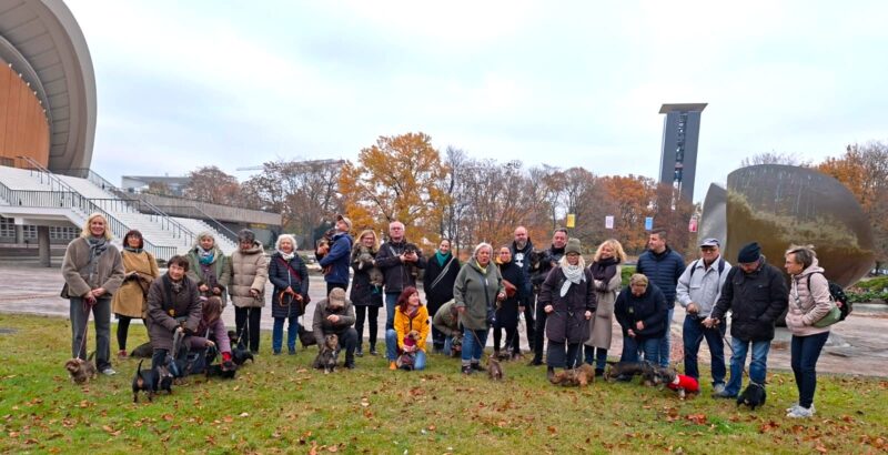 Herbstlicher Dackelspaziergang im Tiergarten IMG-20251111-WA0020